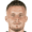 Нико Эльведи