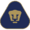 УНАМ Пумас